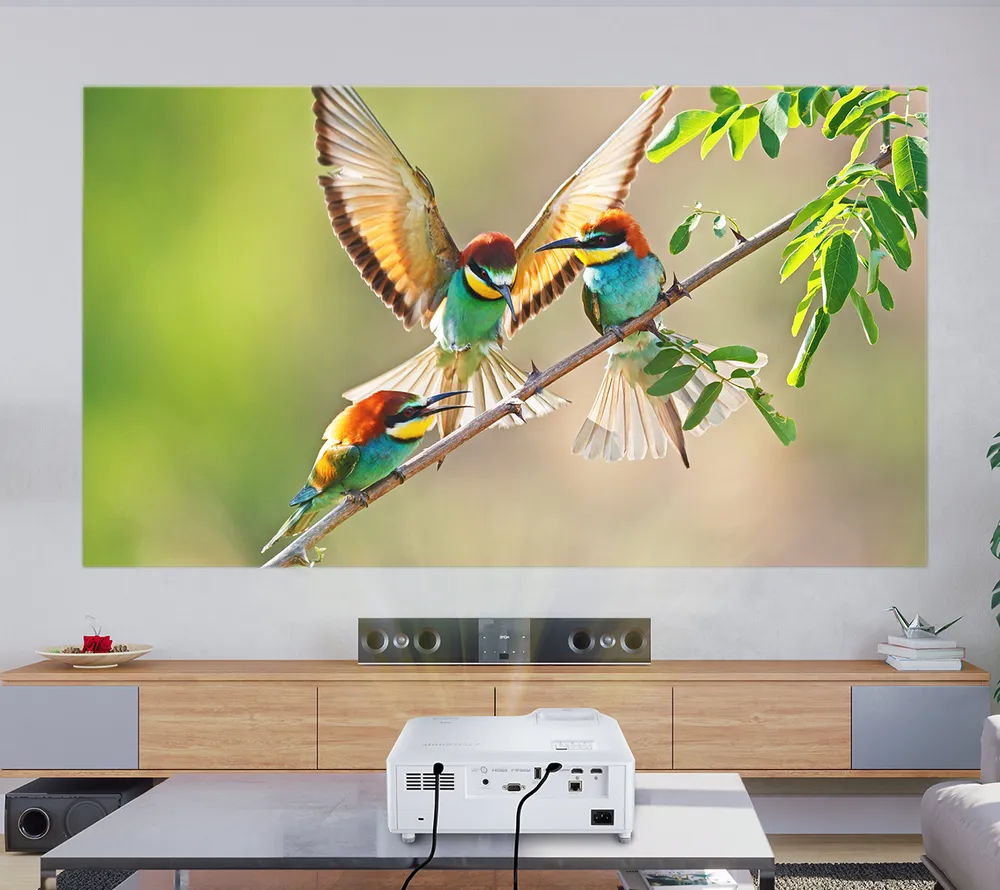 Hỗ trợ trình chiếu 360 độ