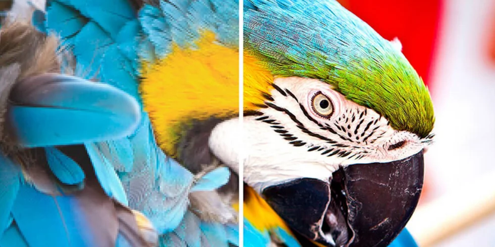 Màu sắc chuẩn SuperColor™