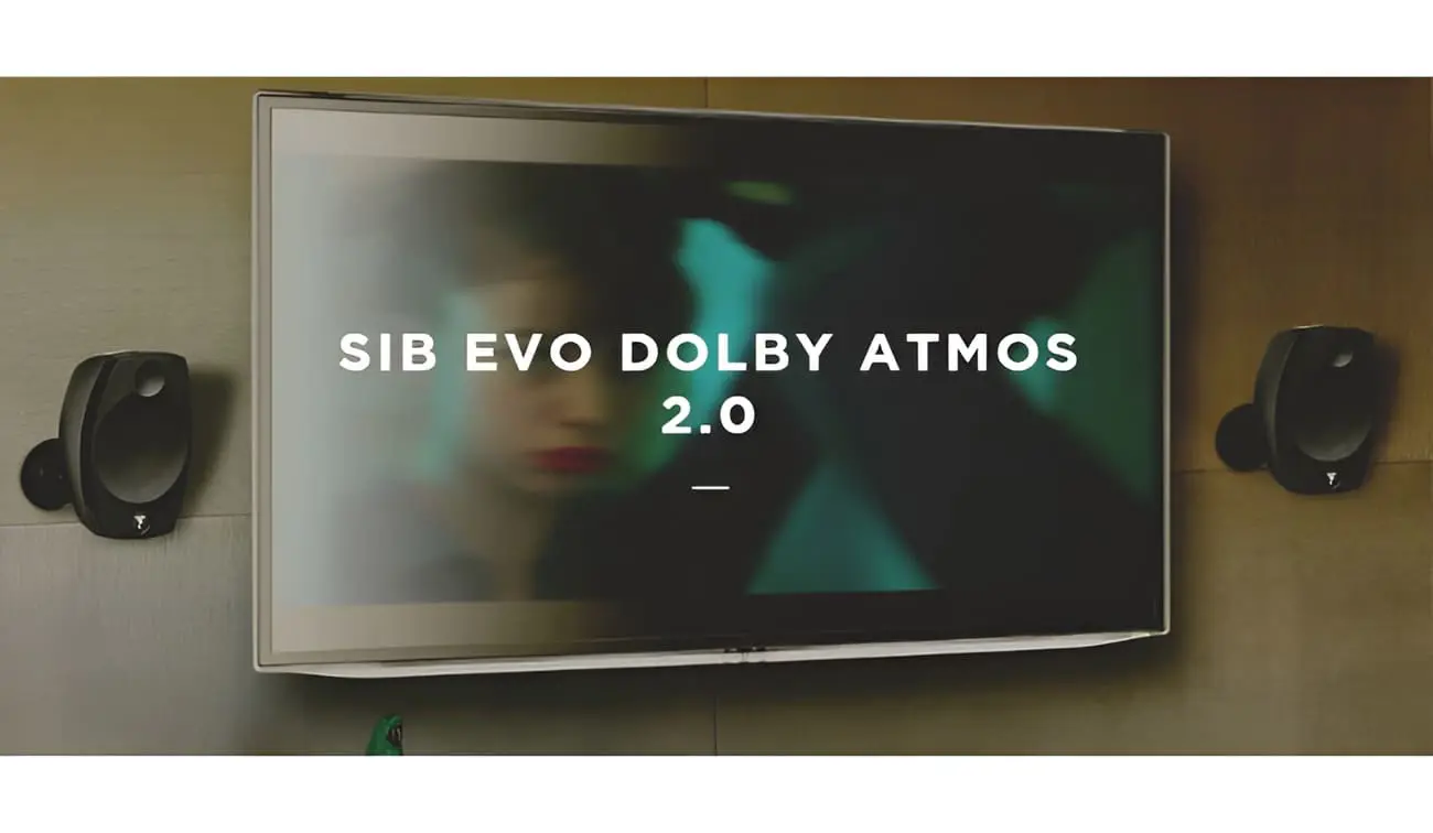 Driver Polyflex cho âm thanh cân bằng