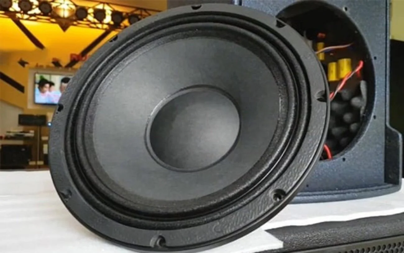 Loa siêu trầm Mini 800W RMS Bass chính xác