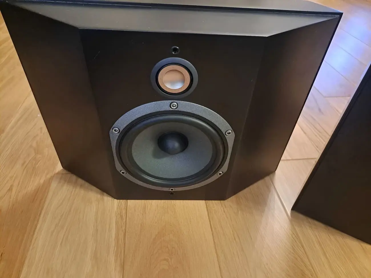 Khả năng tái tạo âm thanh vòm rộng và chính xác