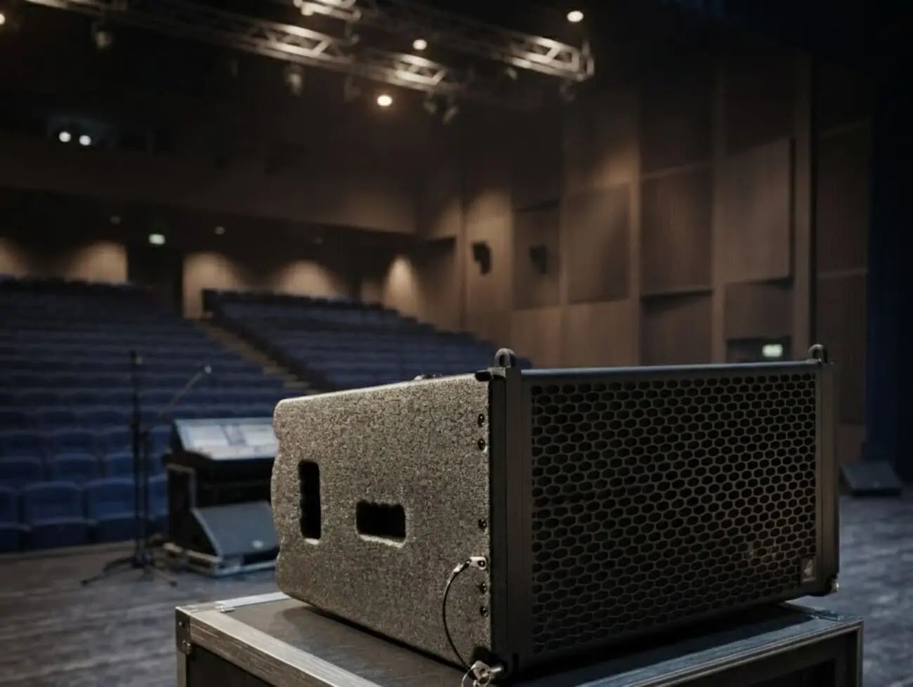 Thùng loa Birch Multiplex bền bỉ
