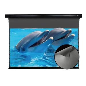 Màn chiếu điện quang học VIVIDSTORM VBMSLALR92H 92inch - Chiếu xa