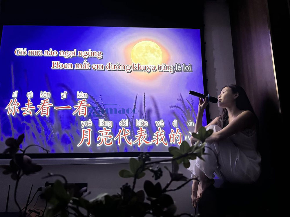 Dự án lắp đặt bộ máy chiếu phim giải trí gia đình kết hợp bộ karaoke cho Anh Chị diễn viên nổi tiếng