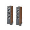 Loa Focal Theva N3-D