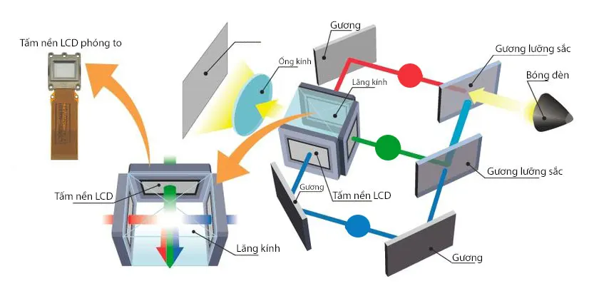 Tuổi thọ bóng đèn cao và chi phí bảo trì thấp
