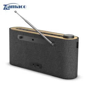 loewe radio frequency 4