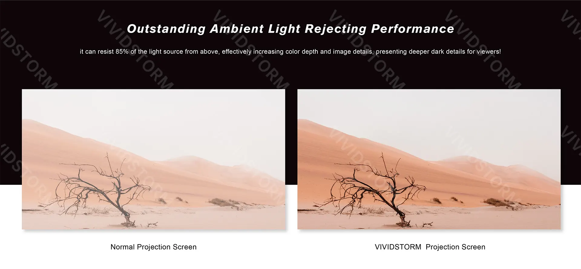 So sánh hình ảnh màn chiếu thường và màn chiếu VividStorm ALR
