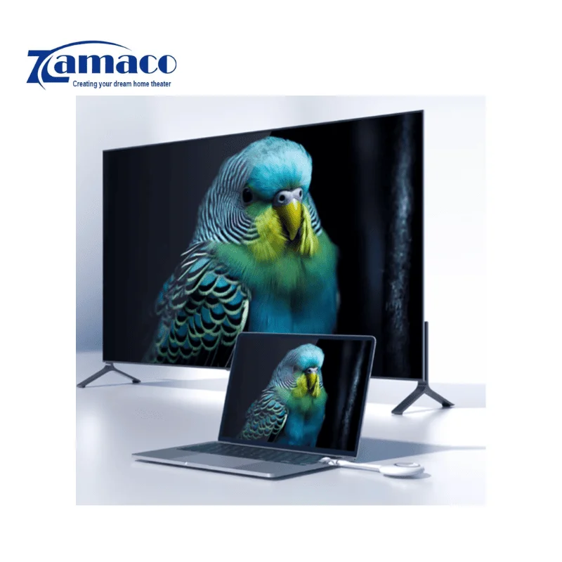 Thiết bị chia sẽ màn hình không dây HORION HG-2S