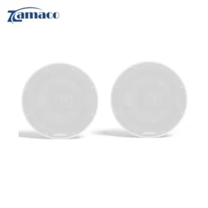 Loa Bose Virtually Invisible 791 – Giải pháp âm thanh tinh tế