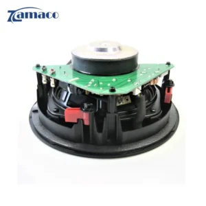 loa bose virtually invisible 791 giai phap am thanh tinh te 4