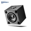 loa subwoofer focal cub evo am tram sau gon gang