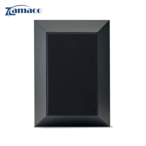 loa focal theva surround black loa vom treo tuong cao cap 3