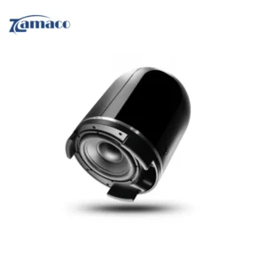 Loa Subwoofer Focal Dome chính hãng, Bass mạnh mẽ, nhỏ gọn cho Home Cinema