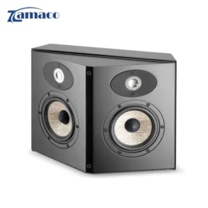 loa surround focal aria sr 900 tweeter kep chi tiet 3