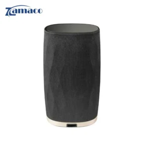 loa khong day bowers wilkins formation flex am thanh hi fi nho gon cao cap 1