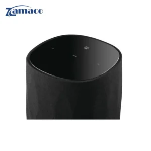 loa khong day bowers wilkins formation flex am thanh hi fi nho gon cao cap 4