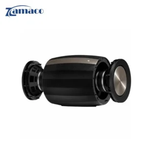 loa subwoofer bowers wilkins formation bass am tram khong day manh me 3