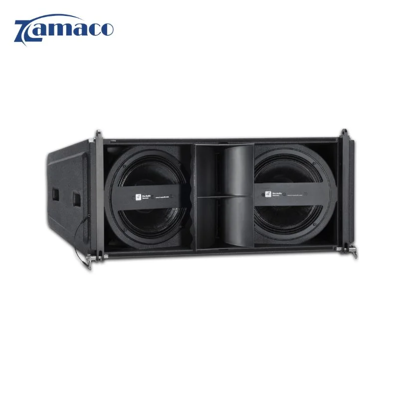 4acoustic alligator 10 loa chuyen nghiep cho bieu dien va su kien 1