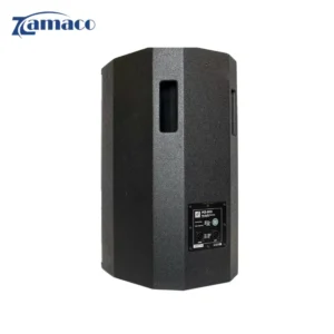loa 4acoustic d12 loa karaoke chuyen nghiep bass 12 inch 1