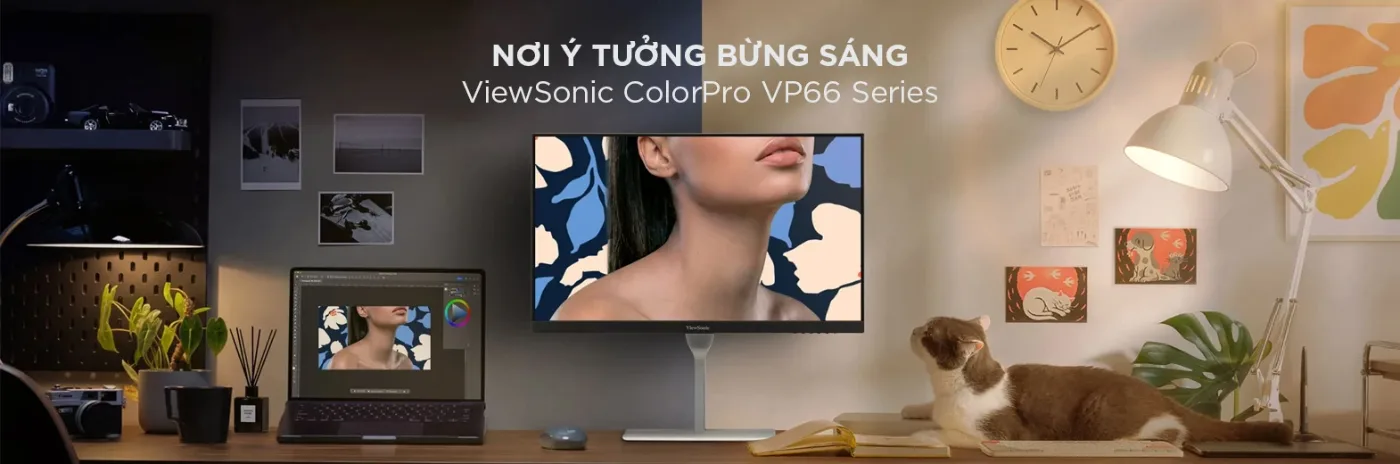 Banner thương hiệu ViewSonic