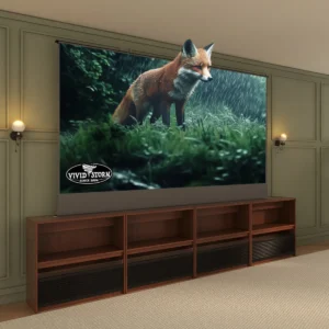 Kệ tích hợp màn chiếu điện VIVIDSTORM Nexus