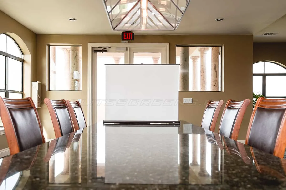 Màn chiếu Elite Screens PicoScreen – hình ảnh sản phẩm