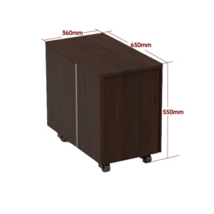 Tủ máy chiếu xa VIVIDSTORM Astra – ảnh 3