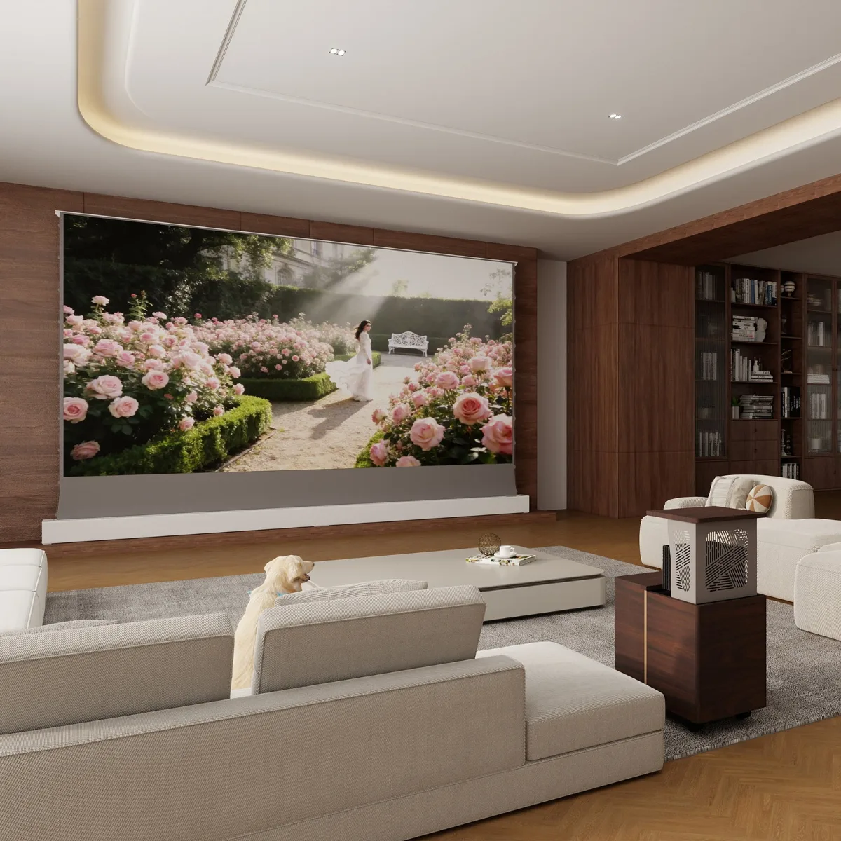 Tủ máy chiếu xa VIVIDSTORM Astra – ảnh 5