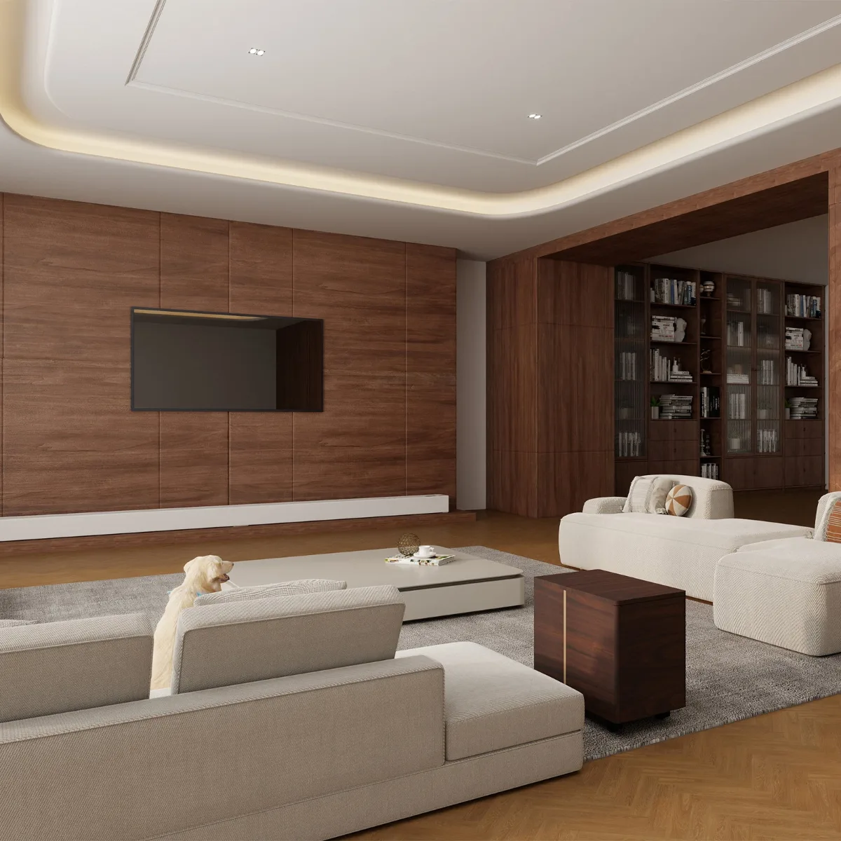 Tủ máy chiếu xa VIVIDSTORM Astra – ảnh 6